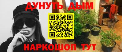 PSILOCYBIN Среднеуральск