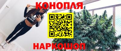 гидропоника Ставрополь