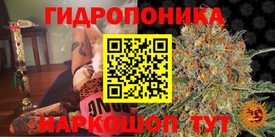 гидропоника Ставрополь