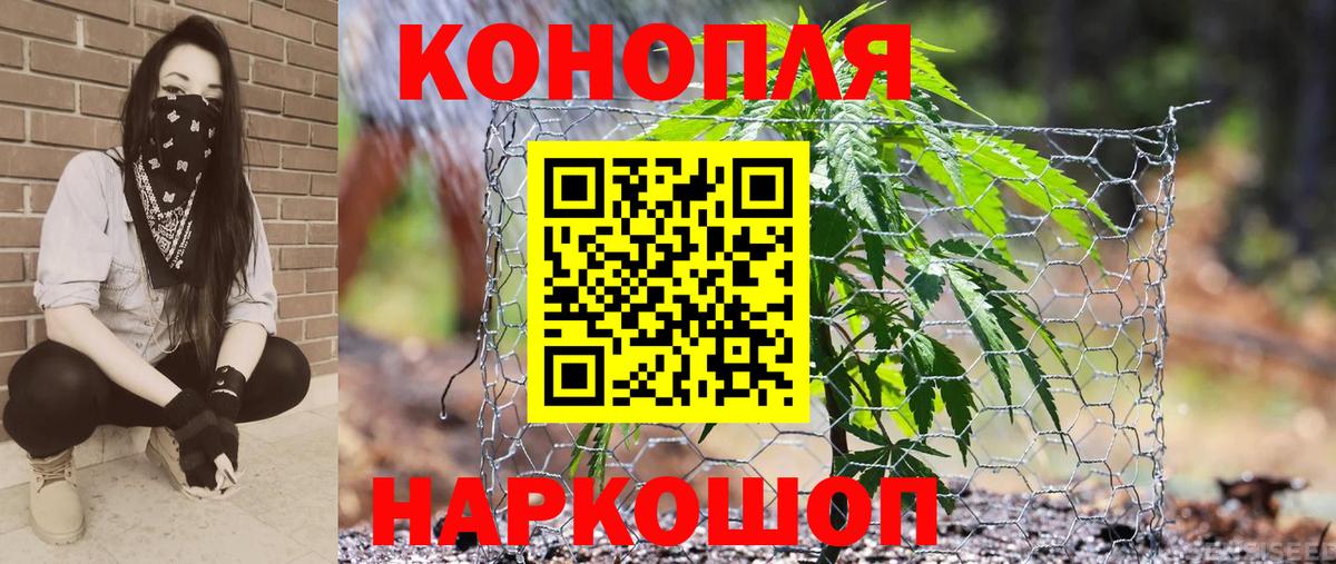 Нижнеудинск  Канабис Ganja  Вход с VPN  Каннабис сатива  Канабис Ganja 